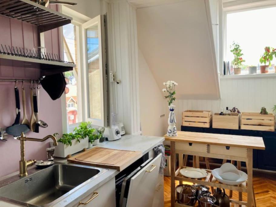 Big, Bright Apartment In The Center Of Zagreb Eksteriør bilde