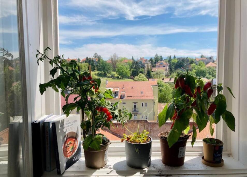 Big, Bright Apartment In The Center Of Zagreb Eksteriør bilde