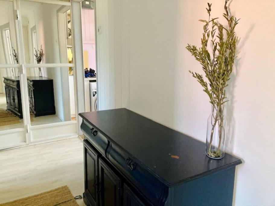 Big, Bright Apartment In The Center Of Zagreb Eksteriør bilde