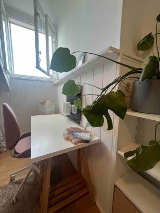 Big, Bright Apartment In The Center Of Zagreb Eksteriør bilde